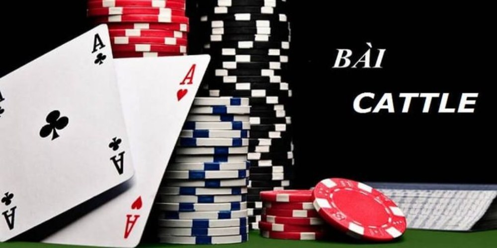 Các quy tắc căn bản của bài Catte