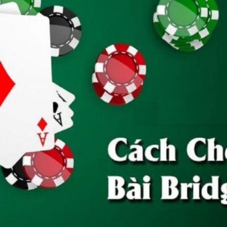 Cách Chơi Bài Bridge Chi Tiết Nhất Cho Người Mới
