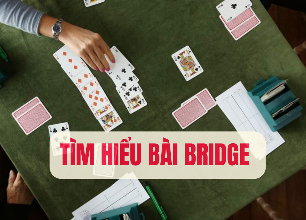 Cách chơi bài bridge cơ bản