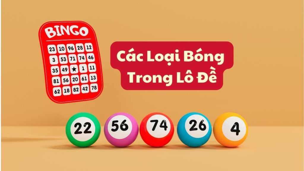 Các Loại Bóng Trong Lô Đề
