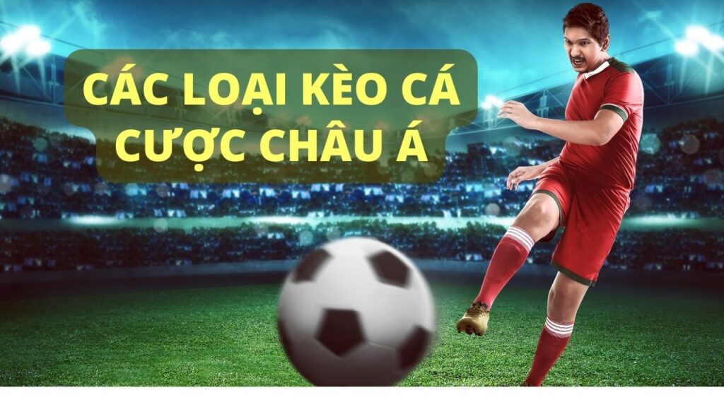 Các thể loại kèo cá cược châu Á