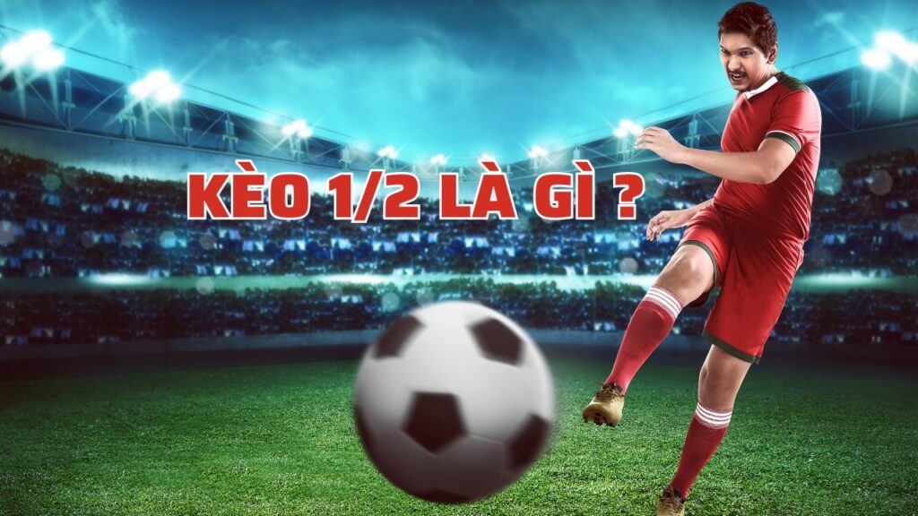 keo 1 2 la gi, Nhà cái uy tín, Top Nhà Cái Uy Tín 2025, top nhà cái uy tín