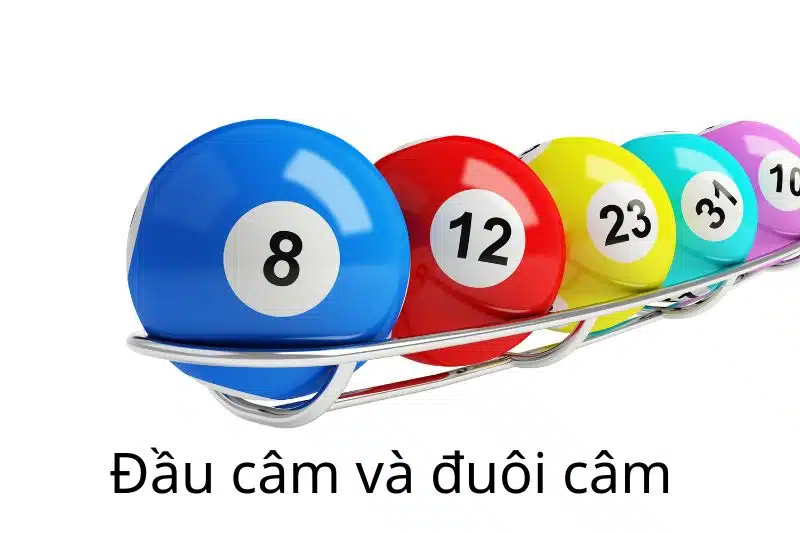dua-tren-dau-va-duoi-cam-jpg Dua tren dau va duoi cam