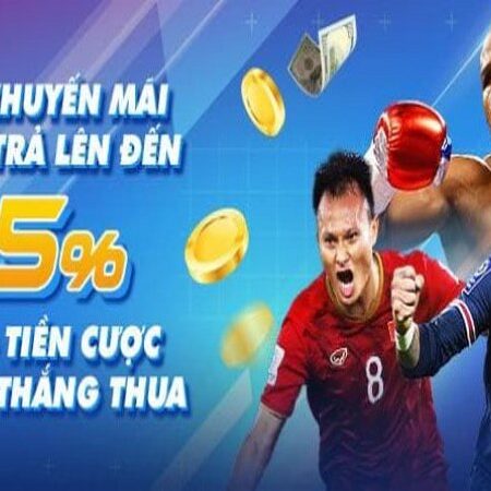 Khuyến mãi 8LIVE – Tổng hợp các sự kiện đặc biệt tại nhà cái