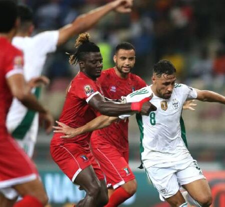 Soi kèo Algeria vs Guinea, 2h ngày 7/6: Chủ nhà áp đảo